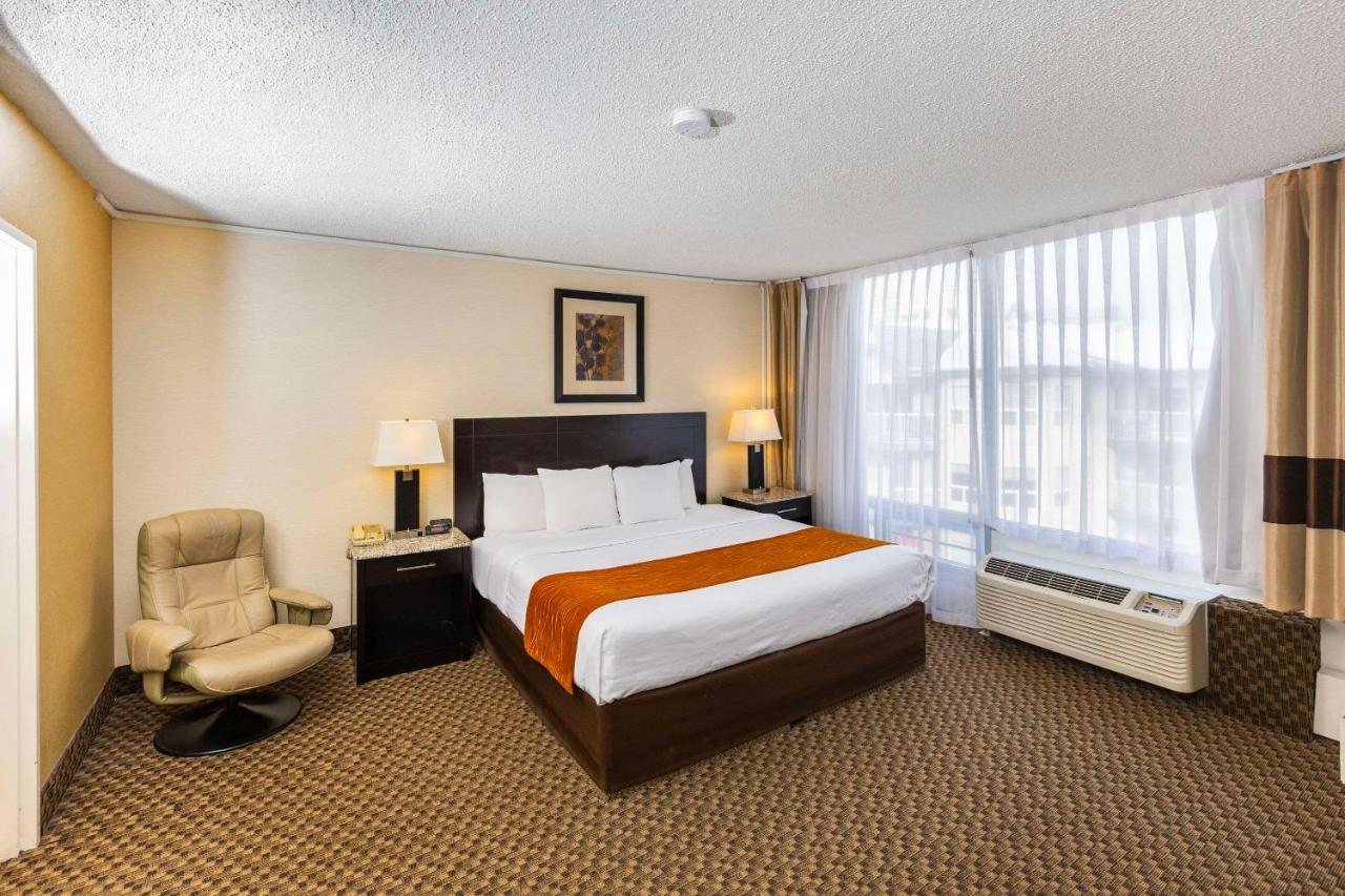 Comfort Inn & Suites Edmonton Exterior foto
