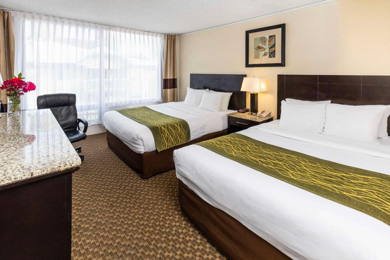 Comfort Inn & Suites Edmonton Exterior foto