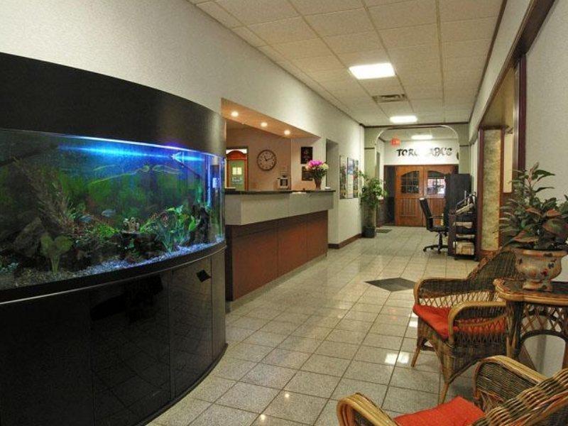 Comfort Inn & Suites Edmonton Interior foto